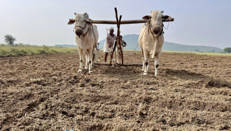 Vano Bastar Chandan Agri Private Limited